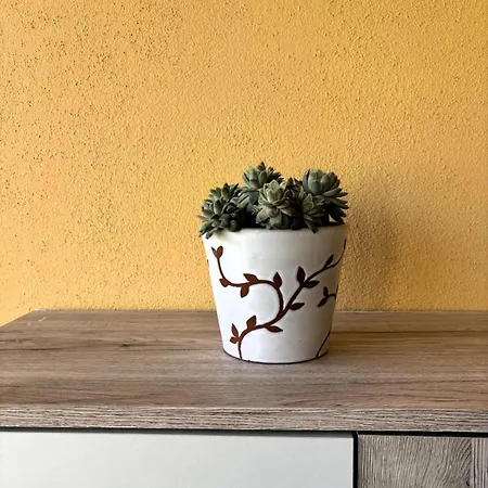 شقة La Terrazza Dei Carpini